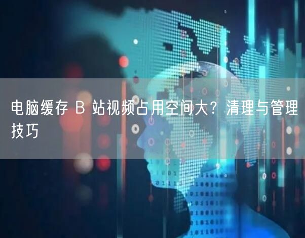 电脑缓存 B 站视频占用空间大？清理与管理技巧