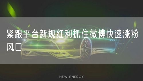 紧跟平台新规红利抓住微博快速涨粉风口