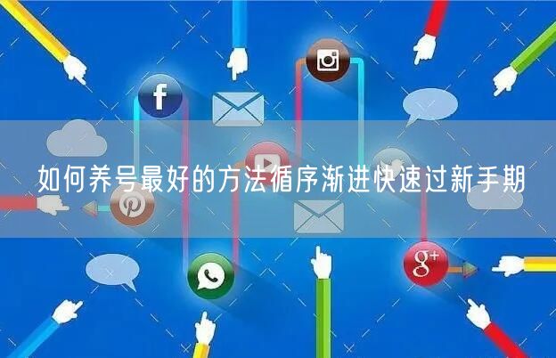 如何养号最好的方法循序渐进快速过新手期