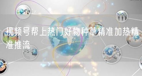 视频号帮上热门好物种草精准加热精准推流