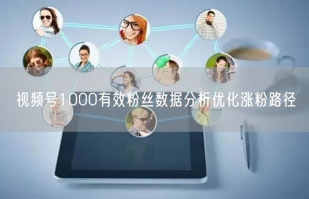 视频号1000有效粉丝数据分析优化涨粉路径