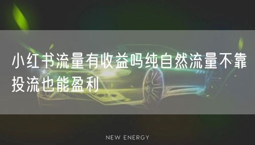 小红书流量有收益吗纯自然流量不靠投流也能盈利