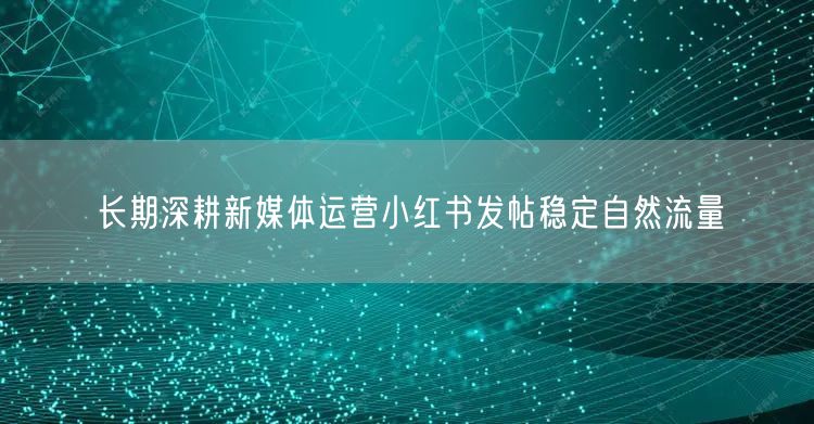 长期深耕新媒体运营小红书发帖稳定自然流量