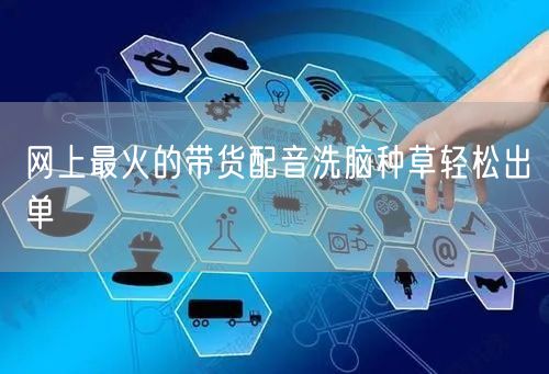 网上最火的带货配音洗脑种草轻松出单