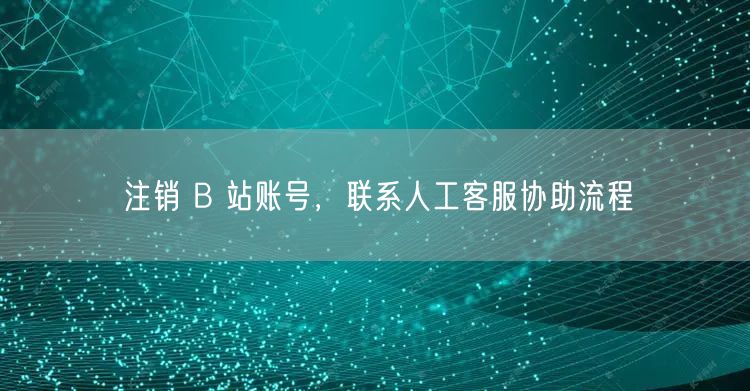 注销 B 站账号，联系人工客服协助流程