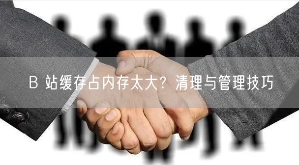 B 站缓存占内存太大？清理与管理技巧