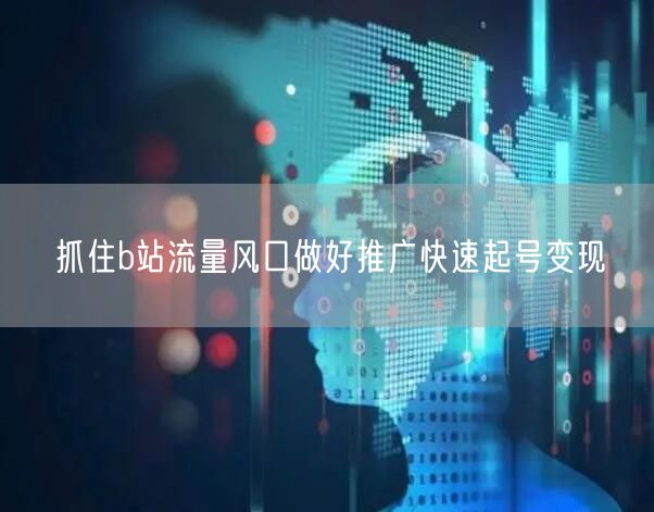 抓住b站流量风口做好推广快速起号变现