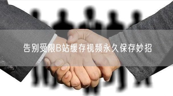告别受限B站缓存视频永久保存妙招